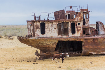 Rusty abandoned ship at the Ship cemetery at the former Aral sea coast in Moynaq (Mo‘ynoq or...