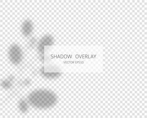 Shadow overlay effect. Natural shadows isolated on transparent background. Vector illustration. 