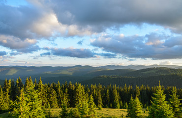 Beautiful summer landscape of green highland pasture under sky with clouds in evening. Golden sunset in Carpathian mountains