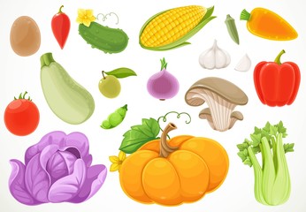 Big set of different vegetables Isolated on a white background