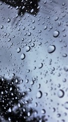 Water Drops on Glass