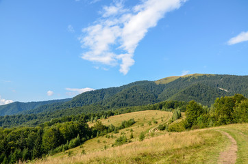 Fototapeta na wymiar Landscape of bright summer day in Carpathian mountains, panorama of Carpathians, blue sky, trees and green hills, beautiful view