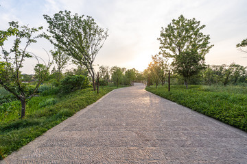 road in city park