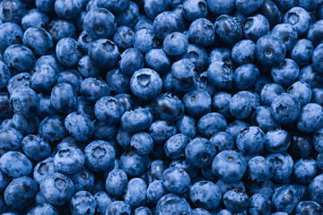 Fresh blueberry background. Texture blueberry berries close up.
