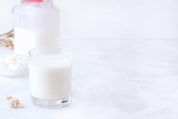 dairy products on a white background. copy space