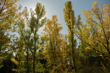 Obraz premium Beautiful autumn - Cuenca - Spain