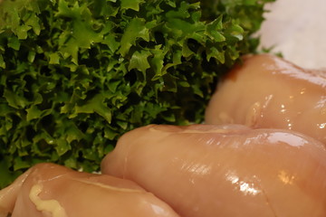 fresh chicken meat and green salad leaf