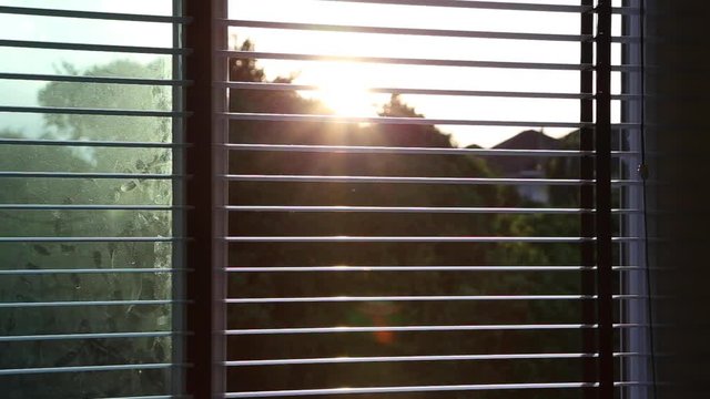 Opening the venetian blinds of the window and seeing sunlight in the morning or evening