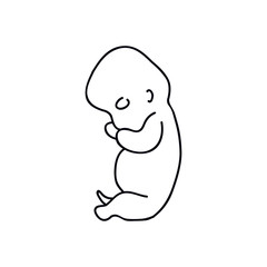 fetus doodle icon, vector illustration