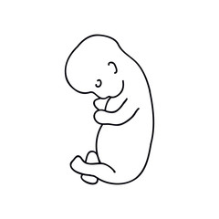 fetus doodle icon, vector illustration