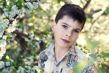 Cute boy on a background of branches of a blossoming plum and apple tree.