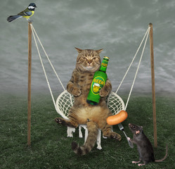 The beige cat with a bottle of light beer is swinging on a swing in the meadow. A black rat feeds...