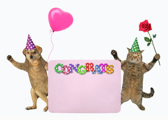 The dog with a heart shaped balloon and the cat with a red rose are standing near a pink paper blank poster. Congrats. White background. Isolated.