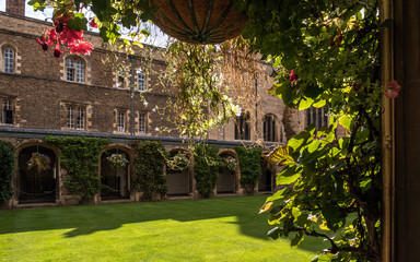 The historic buildings of the University of Cambridge. Green lawn and plants on the facade.