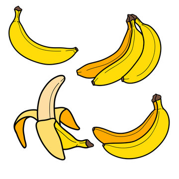Color drawing banana isolated on white background. Sketch for coloring booking page. Vector illustration