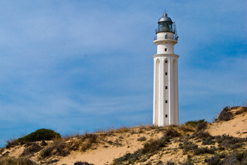 Fototapeta na wymiar Faro del cabo Trafalgar en la costa de Cadiz, Andalucía, España