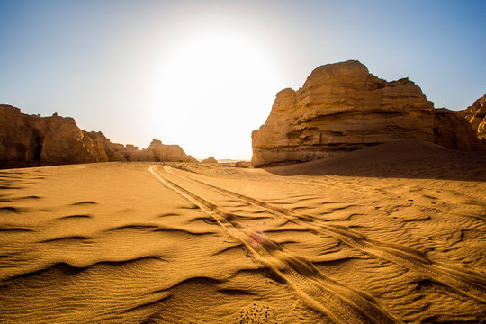 Dry desert