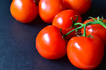 Ripe red tomatoes on a branch on a black background