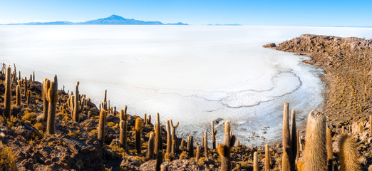 Panoramic view of the Uyuni salt dessert and an island of big cactus. Blue mountains and white salt dessert. Selective focus.