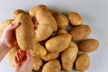 Organic farm potato in hands of woman.