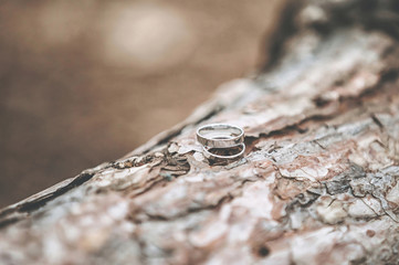 Wedding rings on wood