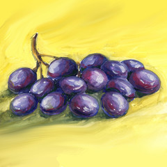 Watercolor hand drawn illustration with grapes.