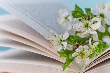 Cozy home still life: spring flowers and opened book with warm plaid. Springtime concept, free copy...