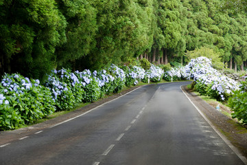 Estrada na Ilha Terceira, Açores