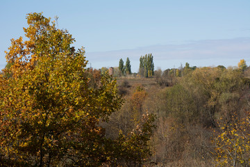 Autumn forest in Ukraine, trees, colorful leaves, beautiful view