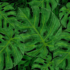 Seamless watercolor tropical pattern with green monstera leaves. Hand drawn botanical colorful background for design print, wrapping paper, textile, fabric, scrapbooking
