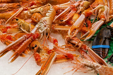 Shrimps and lobsters on the showcase in market.