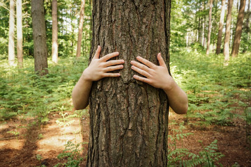 A Tree hugging environmentalist protecting trees from deforestation by wrapping arms tightly around a tree trunk to protect the environment