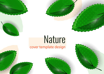 Fresh green leaves on white. Creative abstract background for your design. Vector