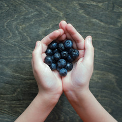 child's hands hold a handful of blueberries