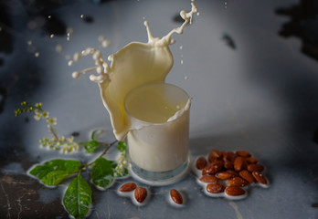 a splash of fresh almond milk in a glass on dark background with white cherry branch