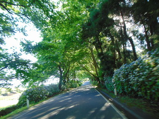 Férias na Ilha Terceira Açores - Portugal