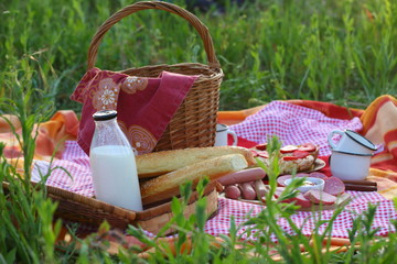Picnic in the park. Sausages and sandwiches with sausage on a plaid