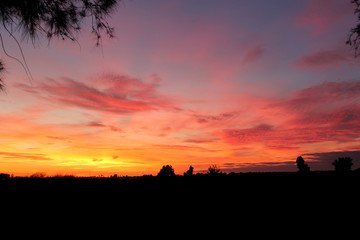 Fototapeta premium Atardecer rosado