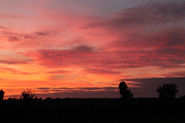 Atardecer rosado
