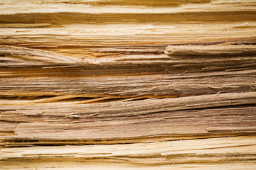 Fototapeta premium Fiber wood inside view texture background