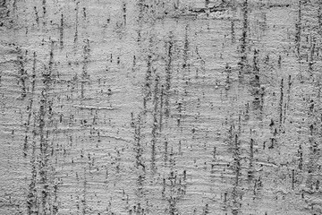 Old grey concrete scratched wall texture