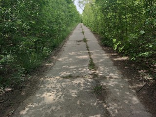 Fototapeta na wymiar Soviet old concrete slab road in a green forest
