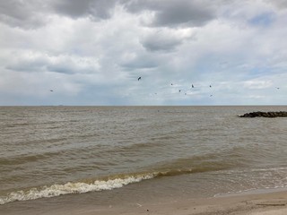 beach in the morning