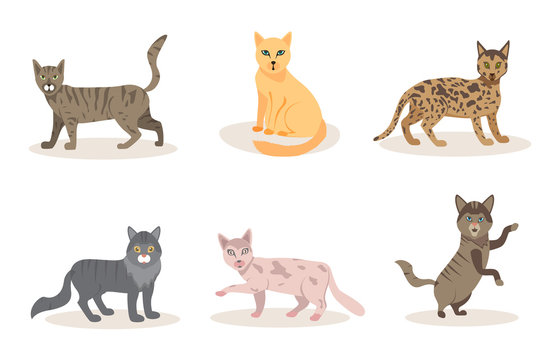 Fanny cartoon cats in different poses. Domestic cats sleeping and walking, sitting and playing, happy and sad kitten vector icons on white background © klerik78