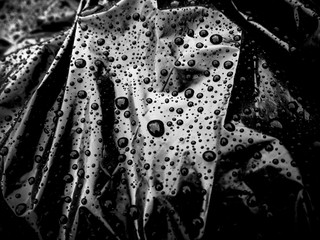 Drops on a black bag. Abstract background. Garbage bag in the water. Body bag. Rain on the street.