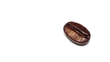 coffee beans photo . roasted coffee beans on a white background