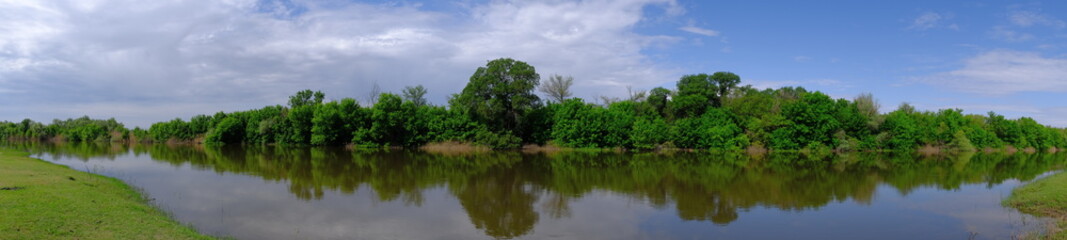 Fototapeta premium Trees by the river in flood Panoramic landscape for web design.