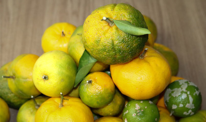 Delicious organic fruits.
Beautiful lemons, oranges and bergamots.