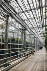 vertical shot of greenhouse