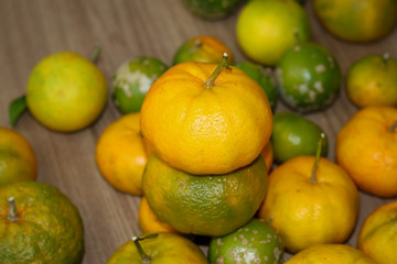 Delicious organic fruits.
Beautiful lemons, oranges and bergamots.